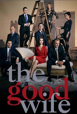 傲骨贤妻 第六季 The Good Wife Season 6(2014)