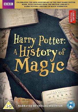 哈利·波特：一段魔法史 Harry Potter: A History of Magic(2017)