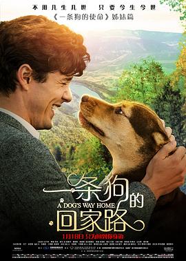 一条狗的回家路 A Dog's Way Home(2019)