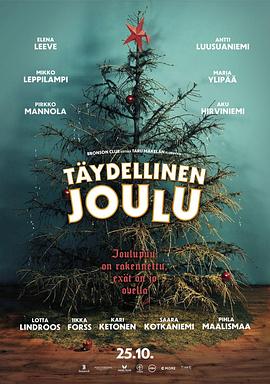 完美圣诞 Täydellinen Joulu(2019)