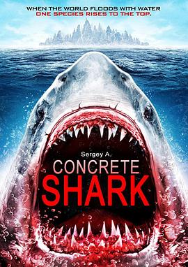 Concrete shark(2020)