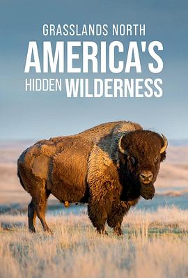 草原：狂野美洲 Grasslands: North America's Hidden Wilderness(2019)