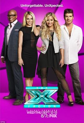 X音素(美版) 第二季 The X Factor US Season 2(2012)