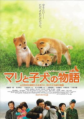 爱犬的奇迹 マリと子犬の物語(2007)