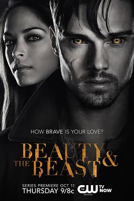 侠胆雄狮 第一季 Beauty and the Beast Season 1(2012)