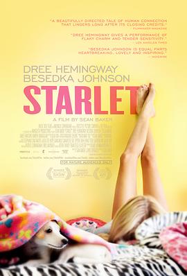 待绽蔷薇 Starlet(2012)