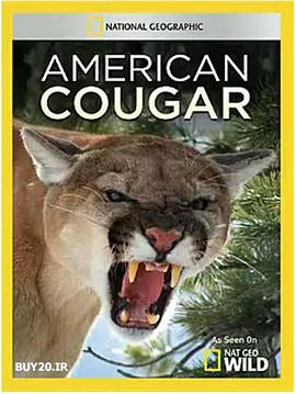 追踪美洲狮 American Cougar(2011)