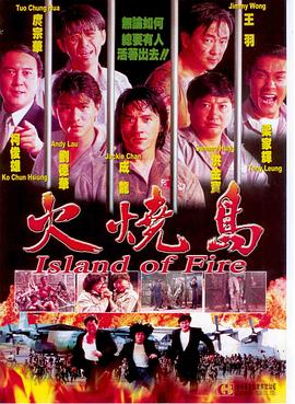 火烧岛 火燒島(1991)