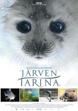 湖泊的传说 Järven tarina(2016)