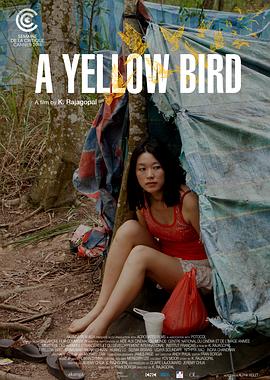 一只黄鸟 A Yellow Bird(2016)