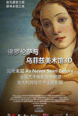 佛罗伦萨与乌菲兹美术馆3D Florence and the Uffizi Gallery(2015)