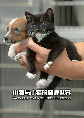 小狗与小猫的奇妙世界 The Wonderful World of Puppies and Kittens(2016)