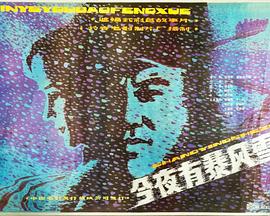 今夜有暴风雪(1984)