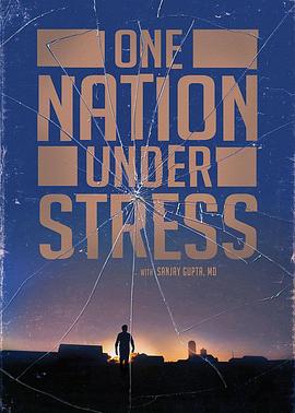 “压力山大”的美国人 One Nation Under Stress(2019)