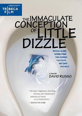 小迪兹的完美观念 The Immaculate Conception of Little Dizzle(2009)