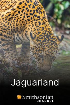 美洲豹领地 Jaguarland(2018)