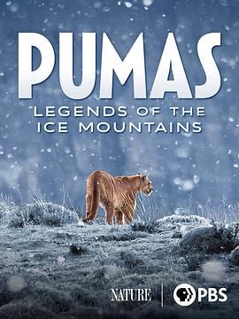 美洲狮：冰山上的传奇 Pumas: Legends of the Ice Mountains(2021)