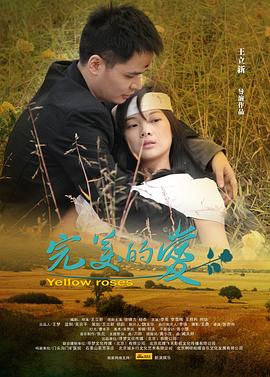 完美的爱(2011)