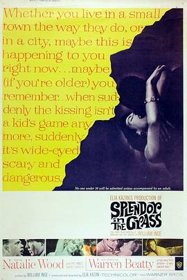 天涯何处觅知音 Splendor in the Grass(1961)