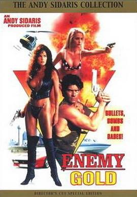 执法女先锋 Enemy Gold(1993)