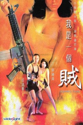 我是一个贼 我是一个賊(1995)