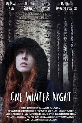 一个冬夜 One.Winter.Night(2019)