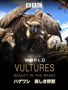 秃鹫：野兽之美 Vultures: Beauty In The Beast(2014)